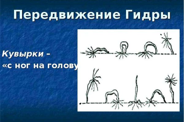 Гидра зайти кракен