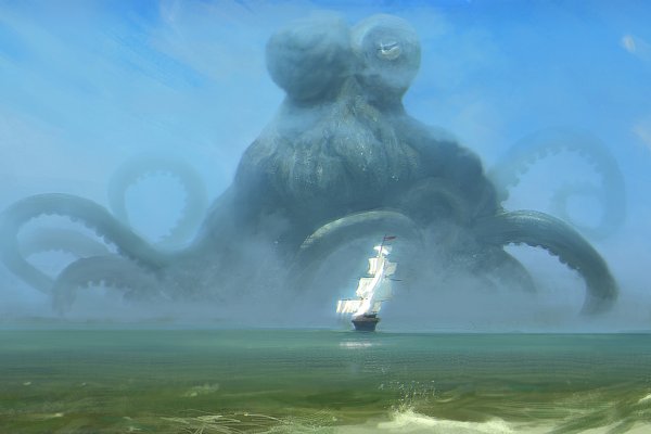 Kraken biz