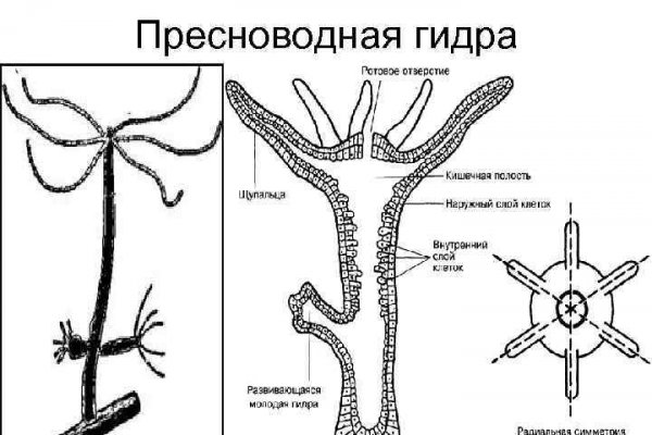 Darknet ссылка кракен kraken014 com