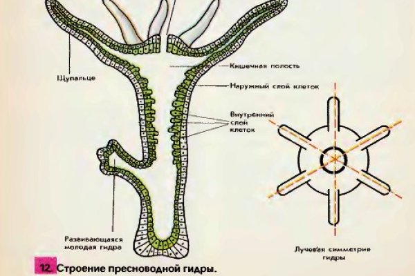 Как подключиться к даркнету